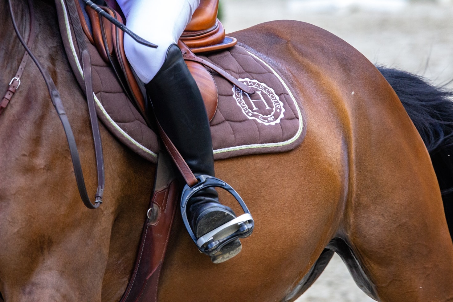 Die Geschichte und Mission unseres Reitclubs